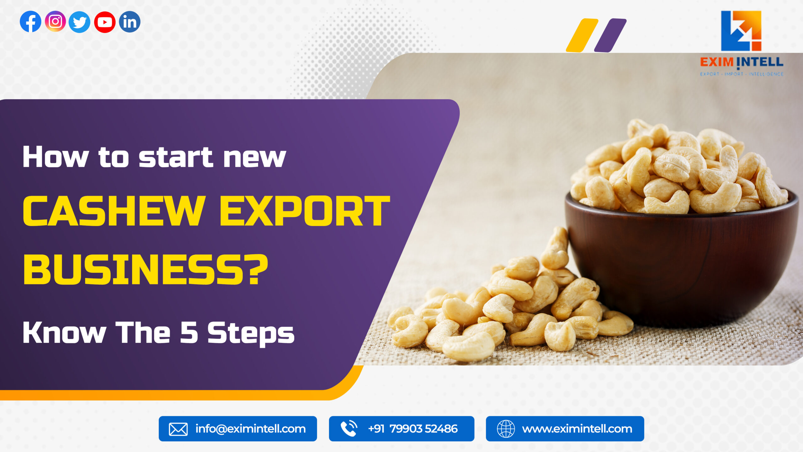 How to start new cashew export business? Know The 5 Steps