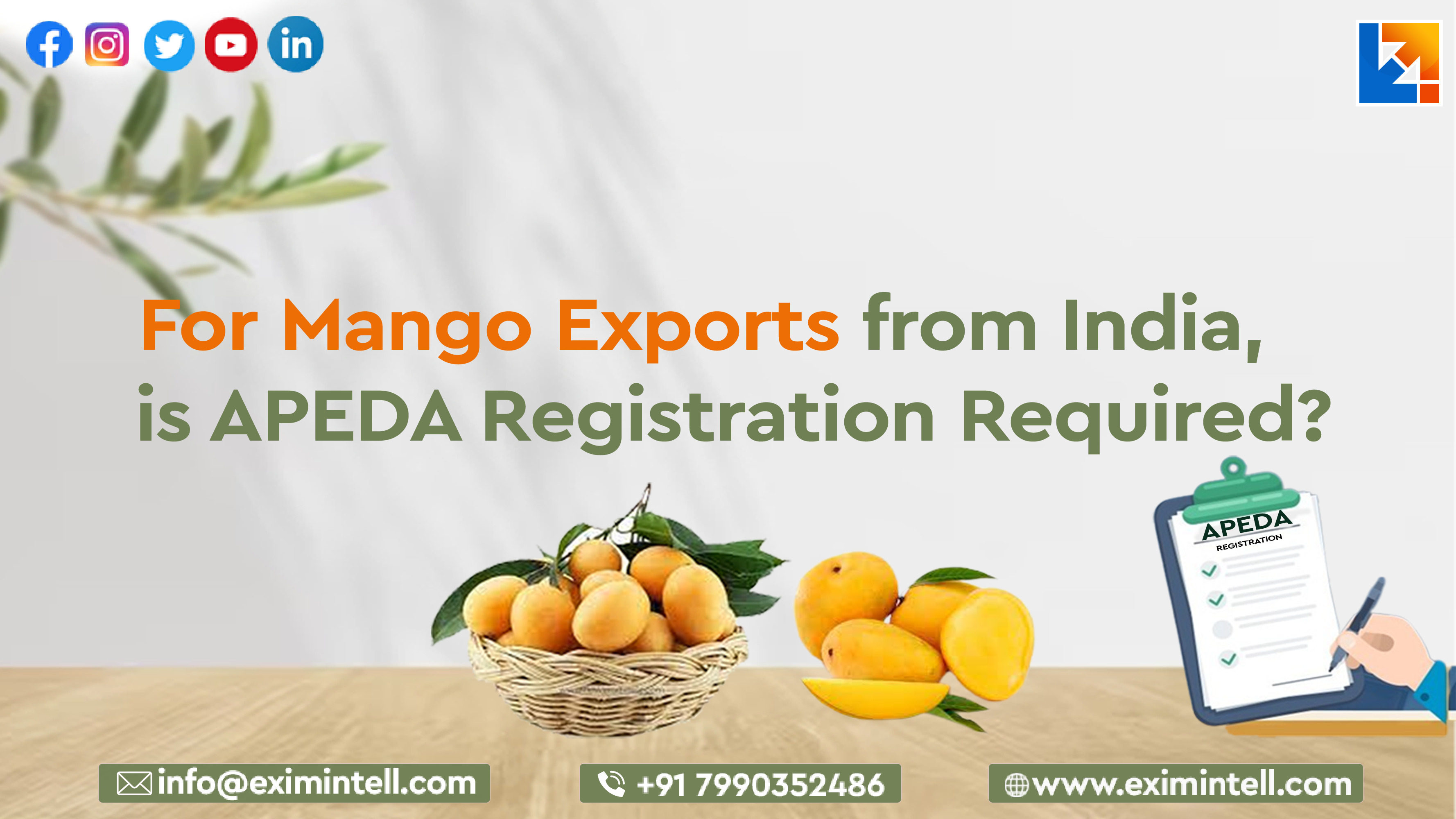 For Mango Exports From India,  is APEDA Registration Required?