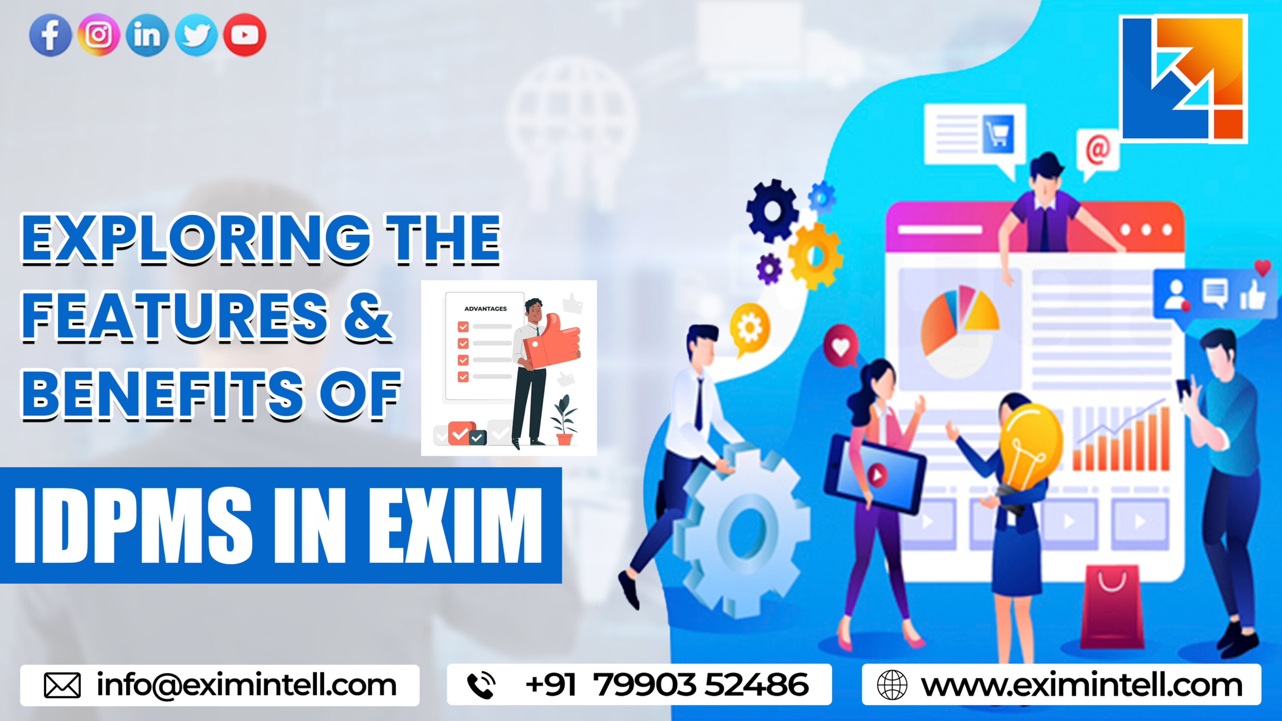 Exploring the Features and Benefits of IDPMS in Exim