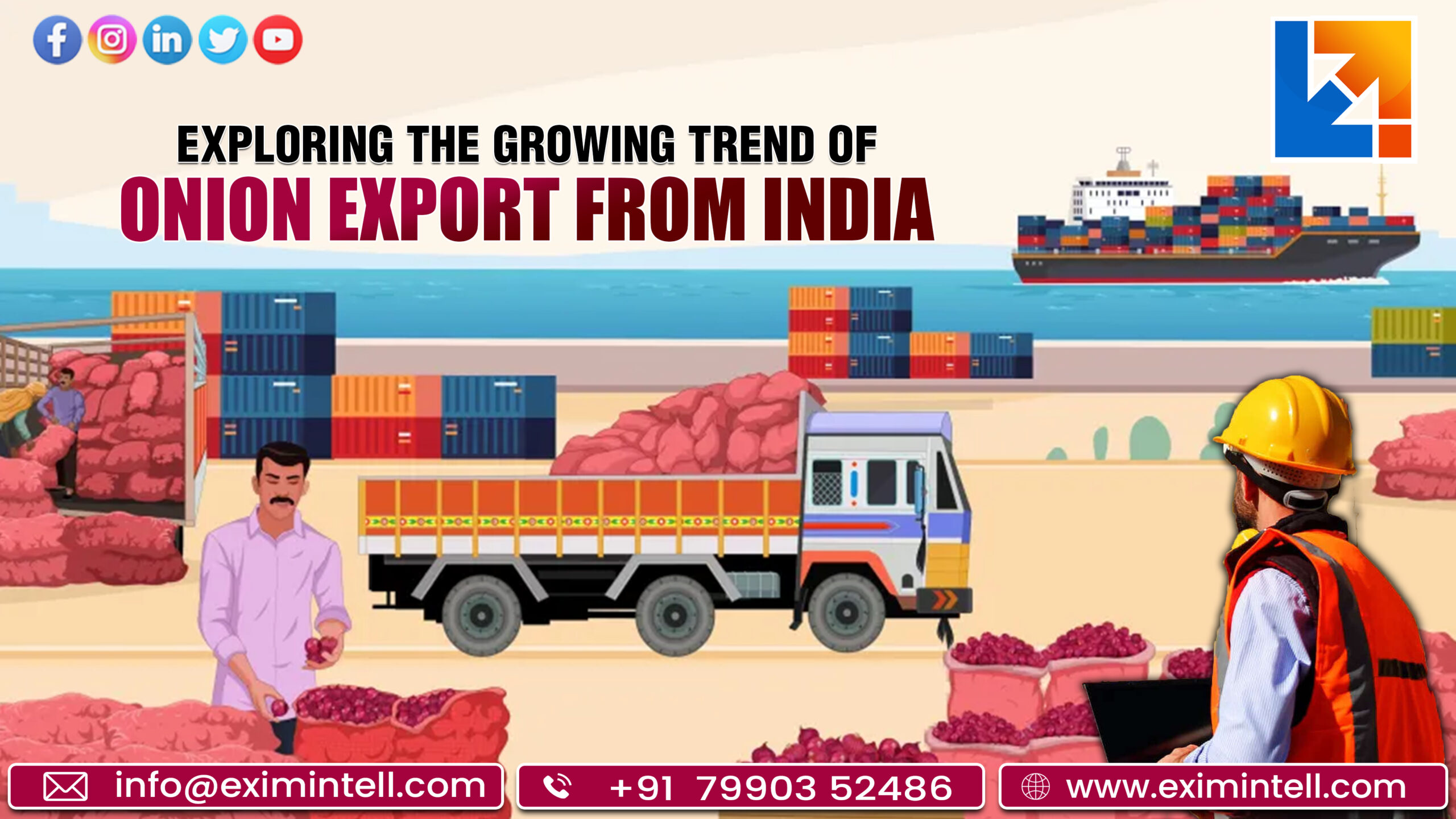 Exploring the Growing Trend of Onion Export from India
