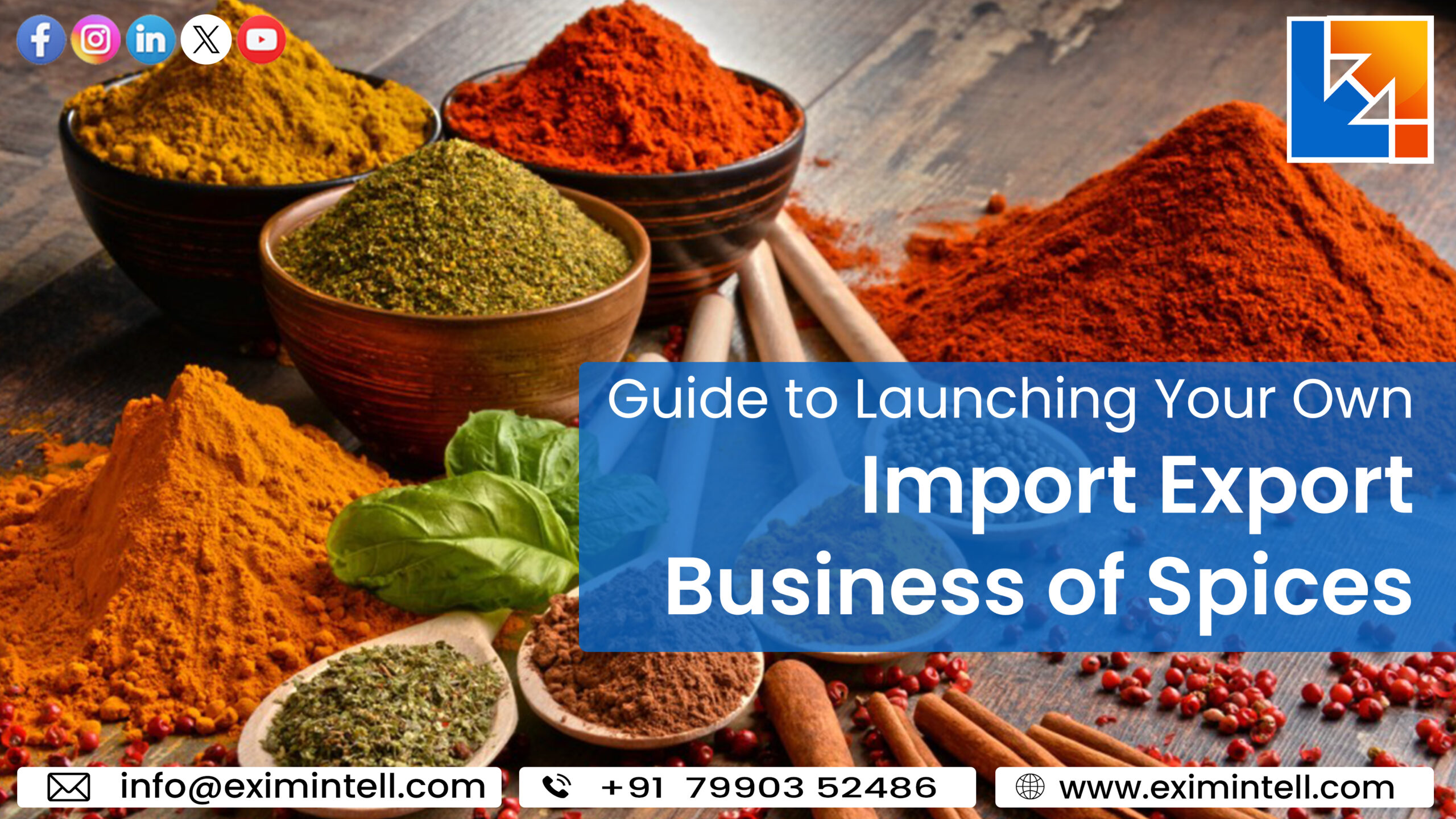 Guide to Launching Your Own Import-Export Business of Spices