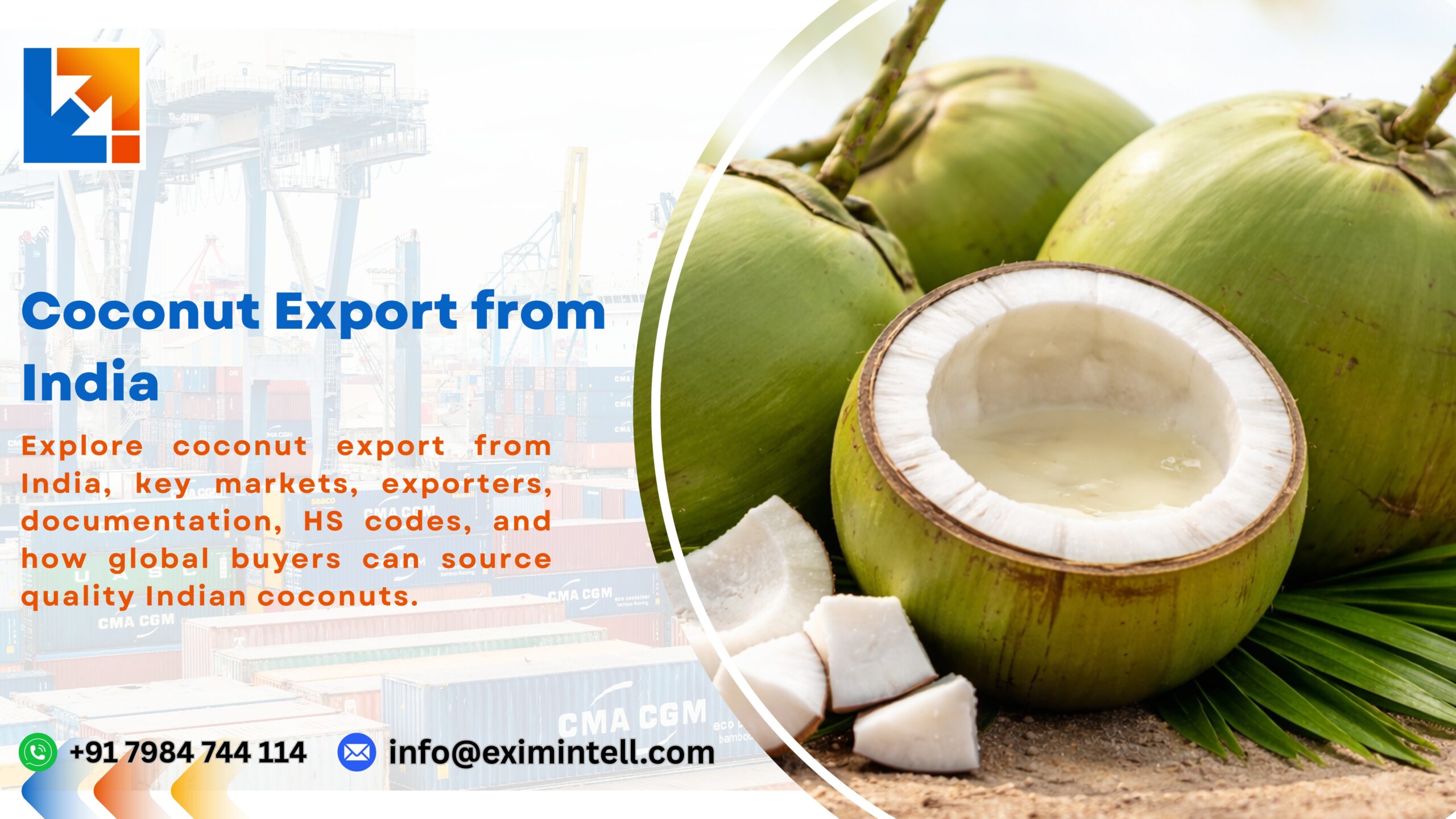 Coconut Export from India: Opportunities for Global Buyers and Importers